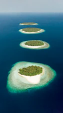 green and brown island in the middle of blue water
