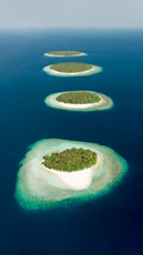 green and brown island in the middle of blue water