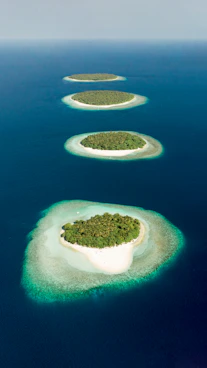 green and brown island in the middle of blue water