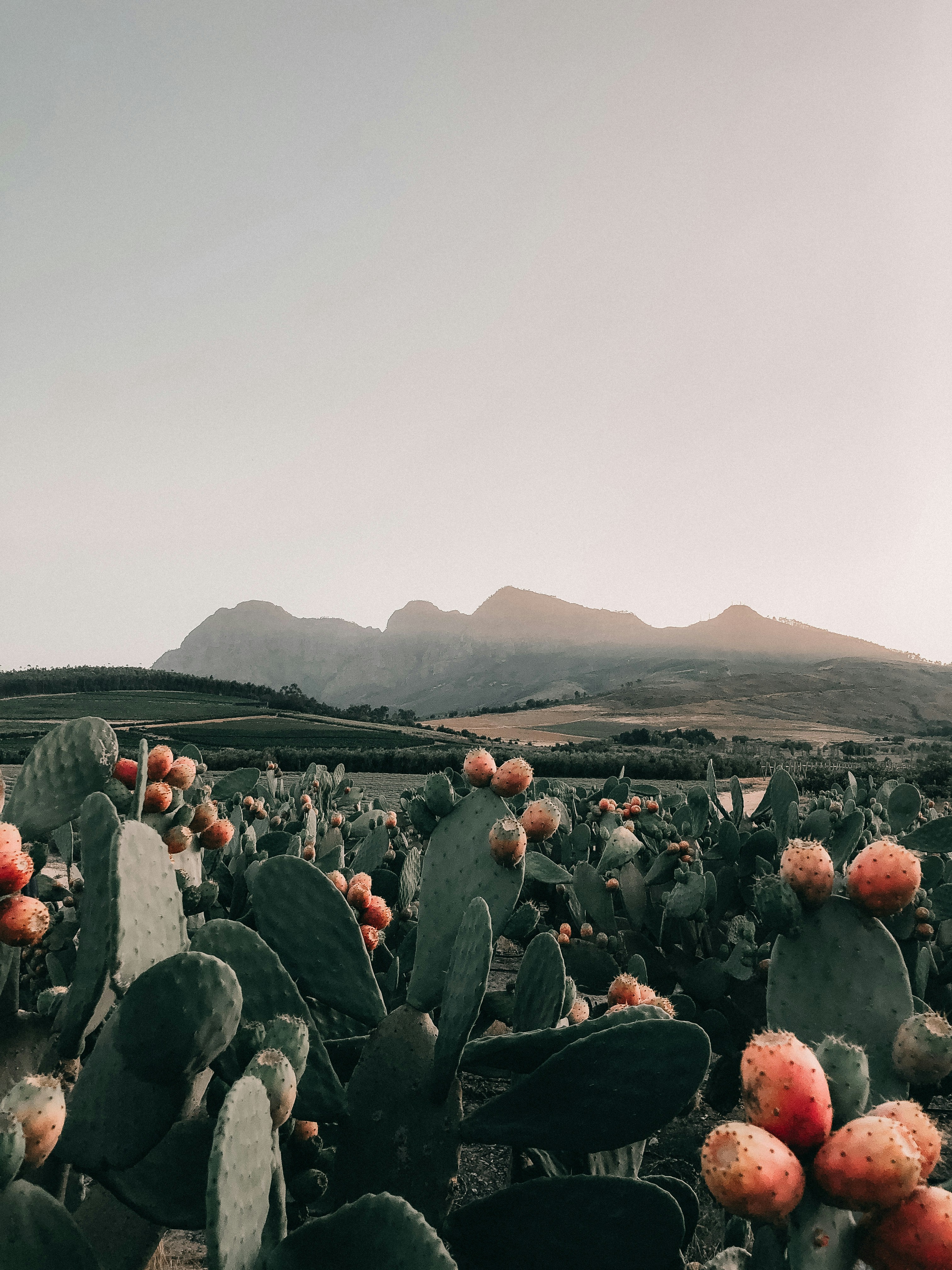people standing on green grass field during daytime
