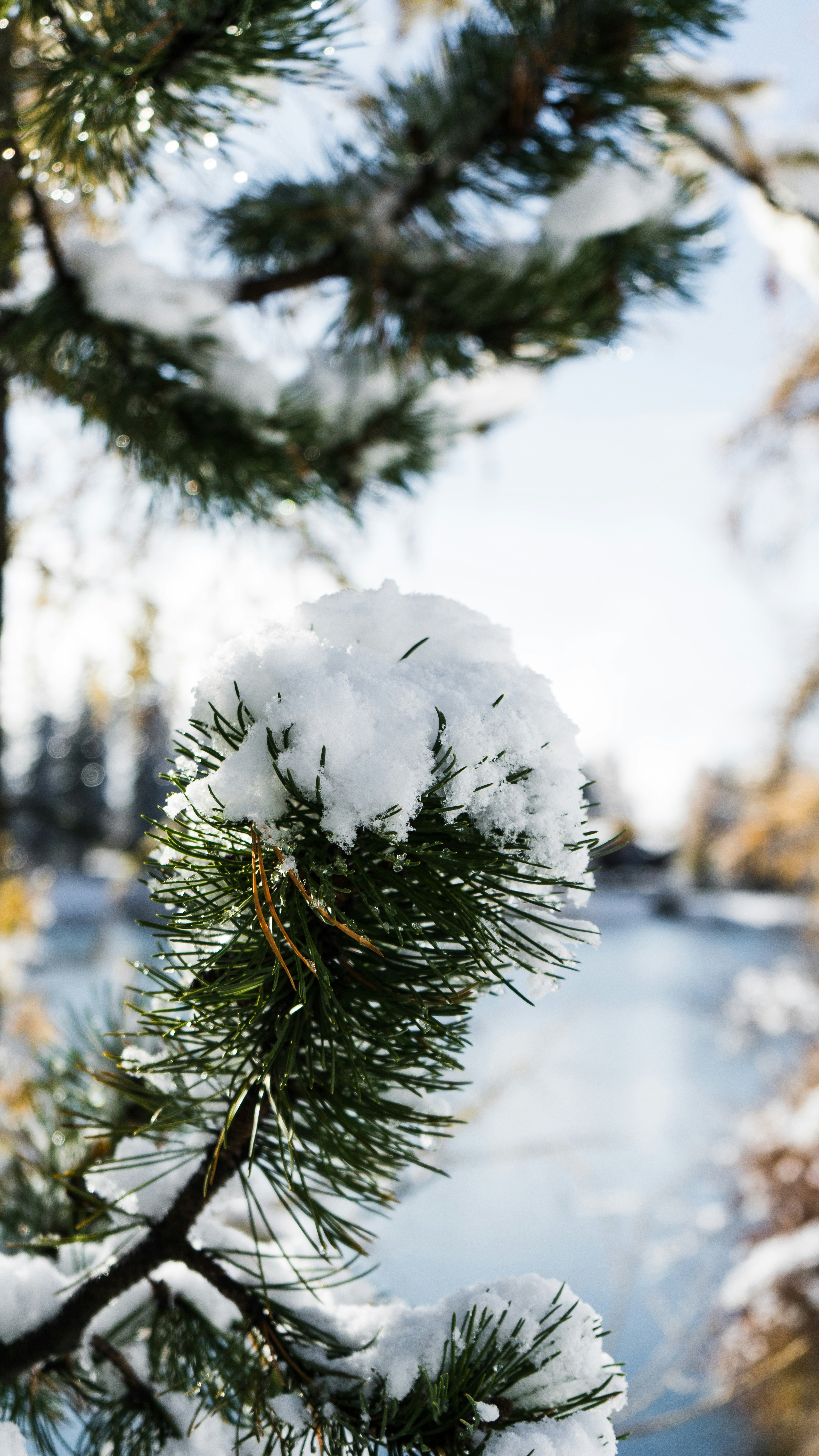 Photo by virussinside