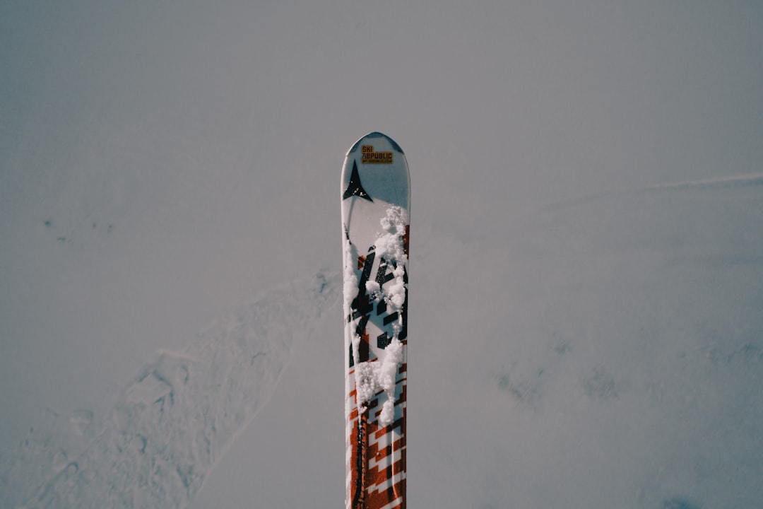 person in black and white snow ski on snow covered ground during daytime