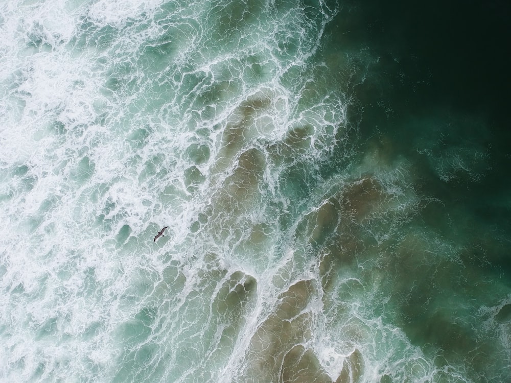 green and white water waves