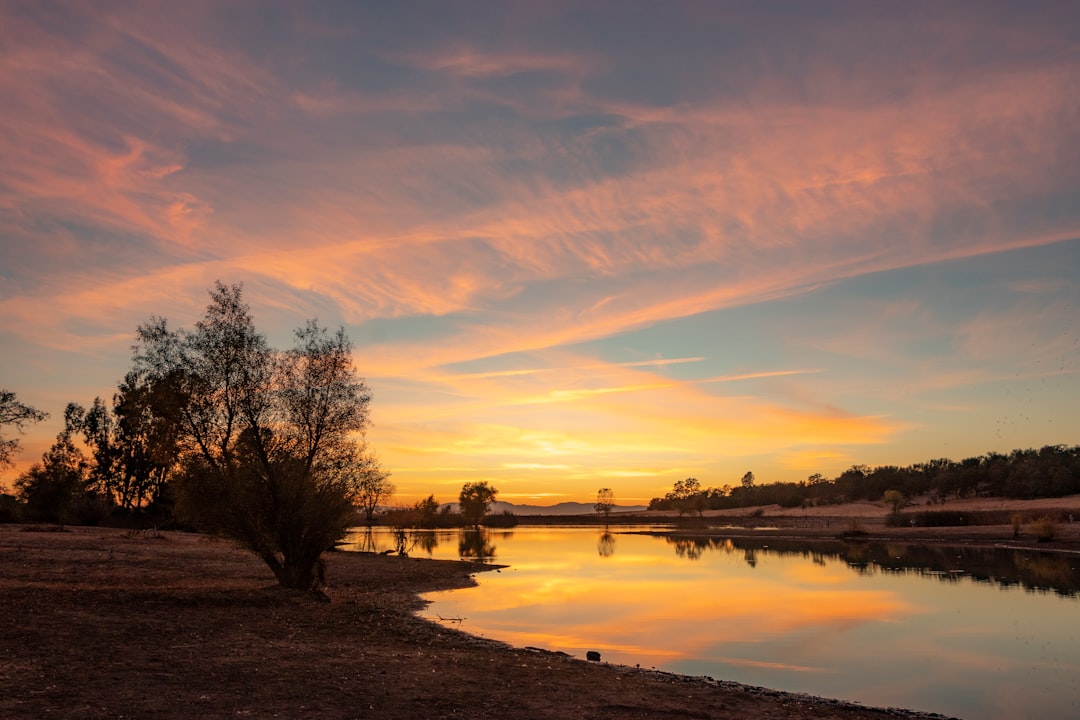 body of water near trees during sunset