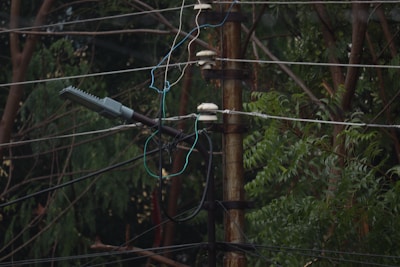 Close-up of specialized equipment spraying targeted herbicide on roadside weeds near utility poles.