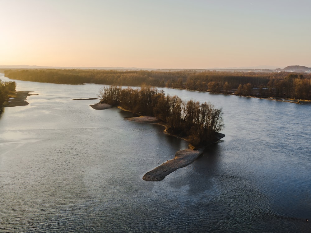 Grüne Bäume auf der Insel tagsüber