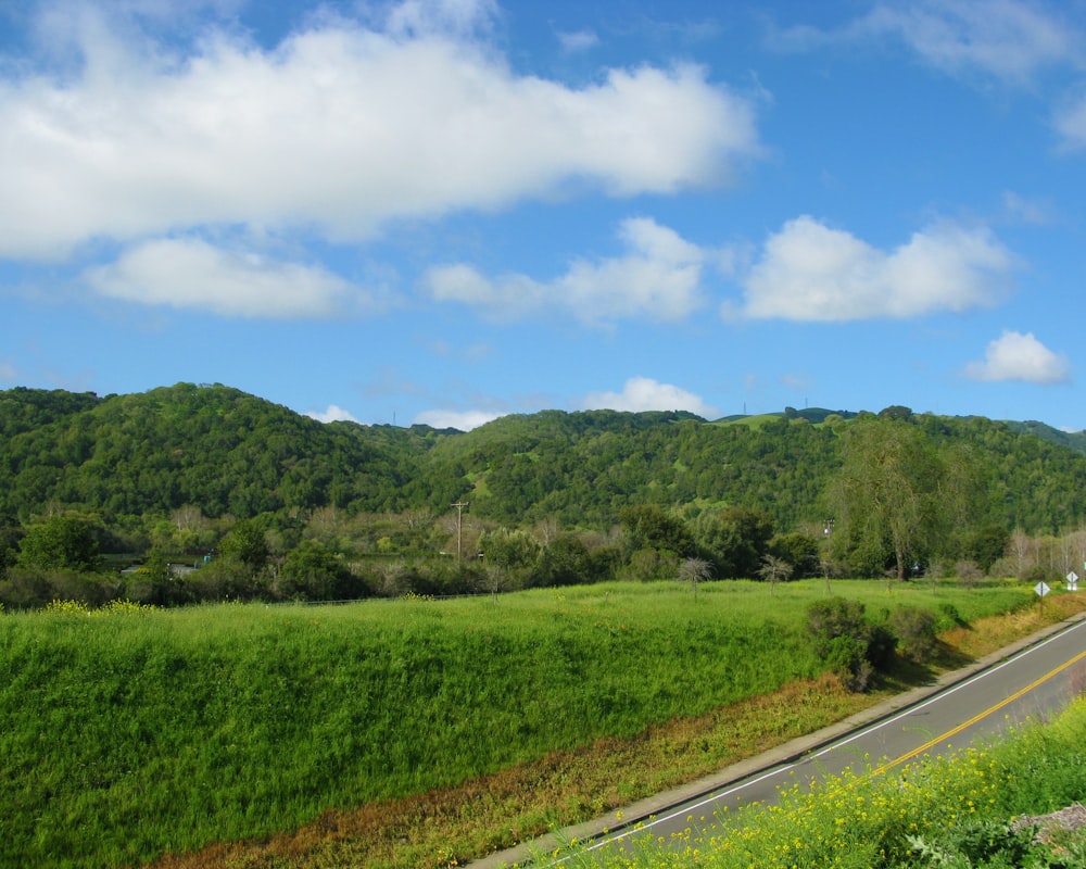 green grass field near road under blue sky during daytime