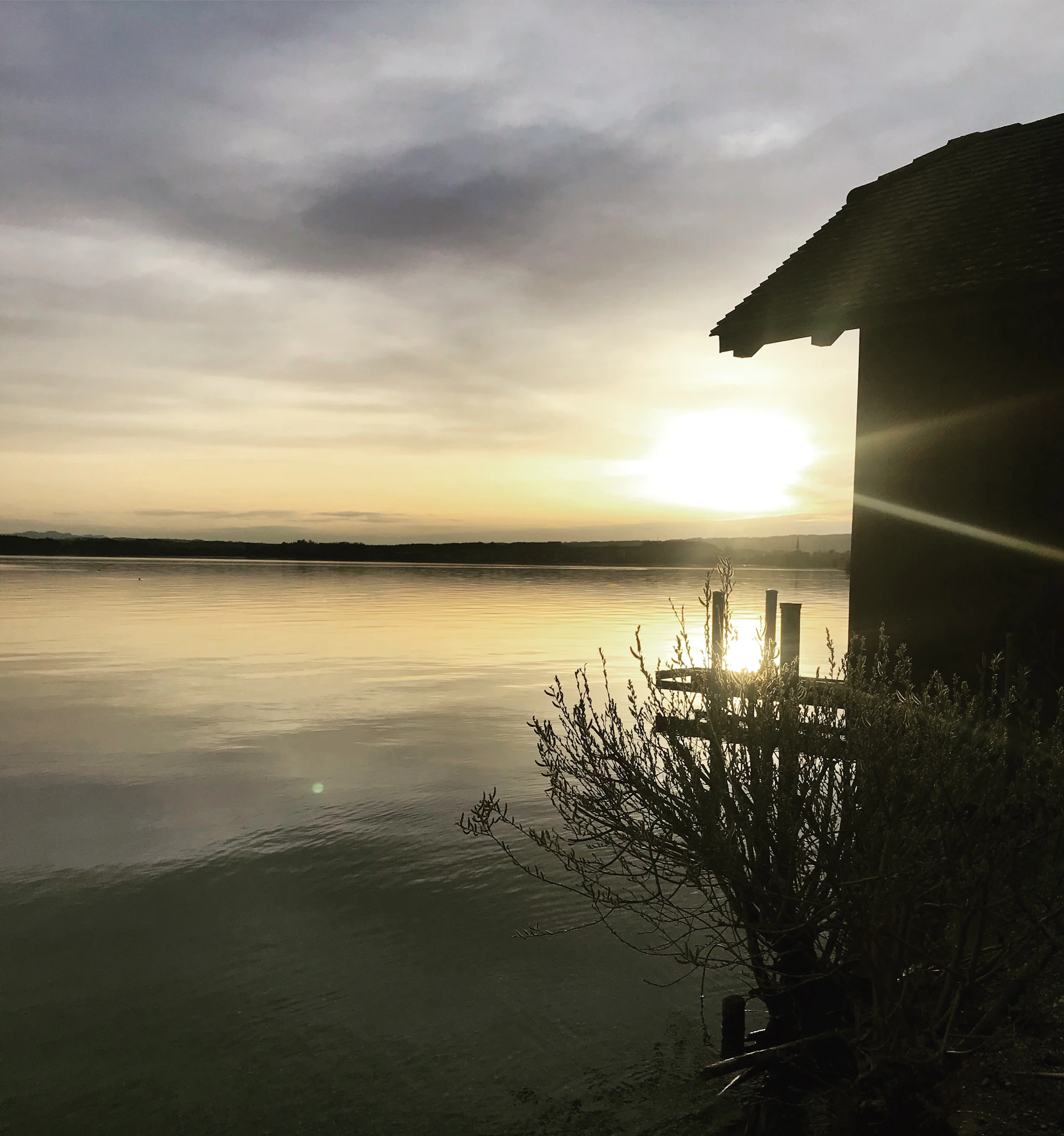 couple wearing silver-colored rings