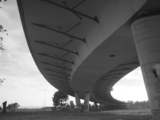 A curved concrete bridge with visible structural supports underneath. Graffiti is present on the bridge supports, and there are trees and a fence in the background. The image is rendered in black and white, giving a dramatic contrast to the scene.