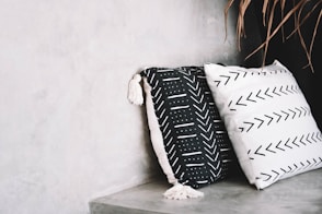 black and white throw pillow