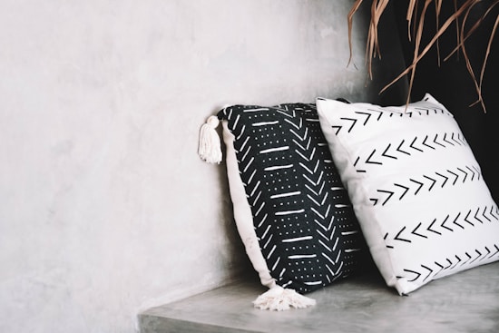 Two decorative pillows rest against a neutral-toned concrete wall. The pillow on the left is black with white geometric patterns and tassels, while the one on the right is white with black arrow patterns. A few dried leaves are visible in the top right corner.