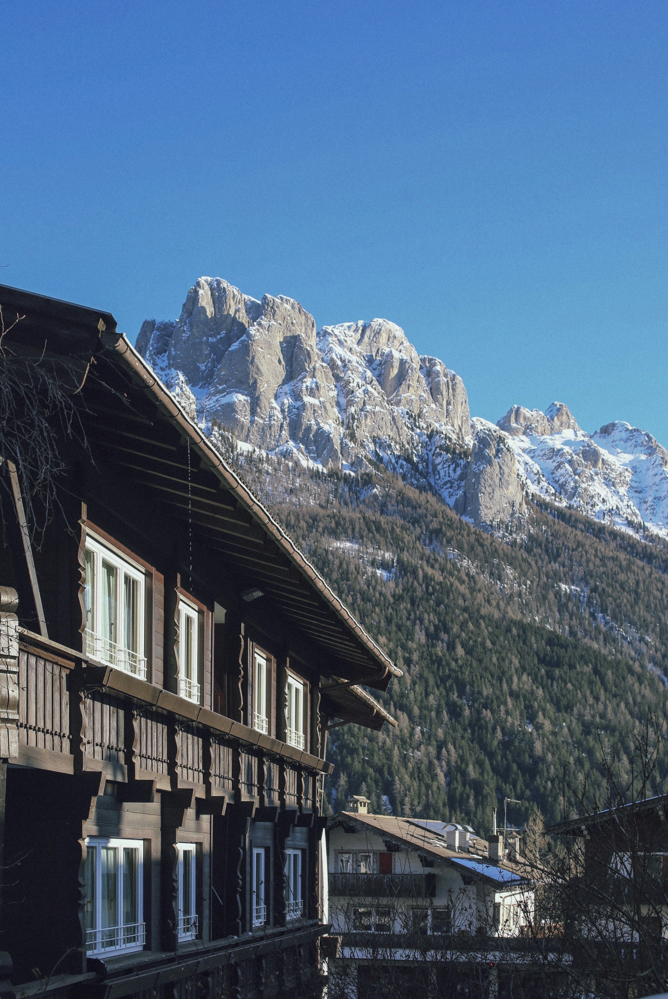 Photo by tatti_rotar