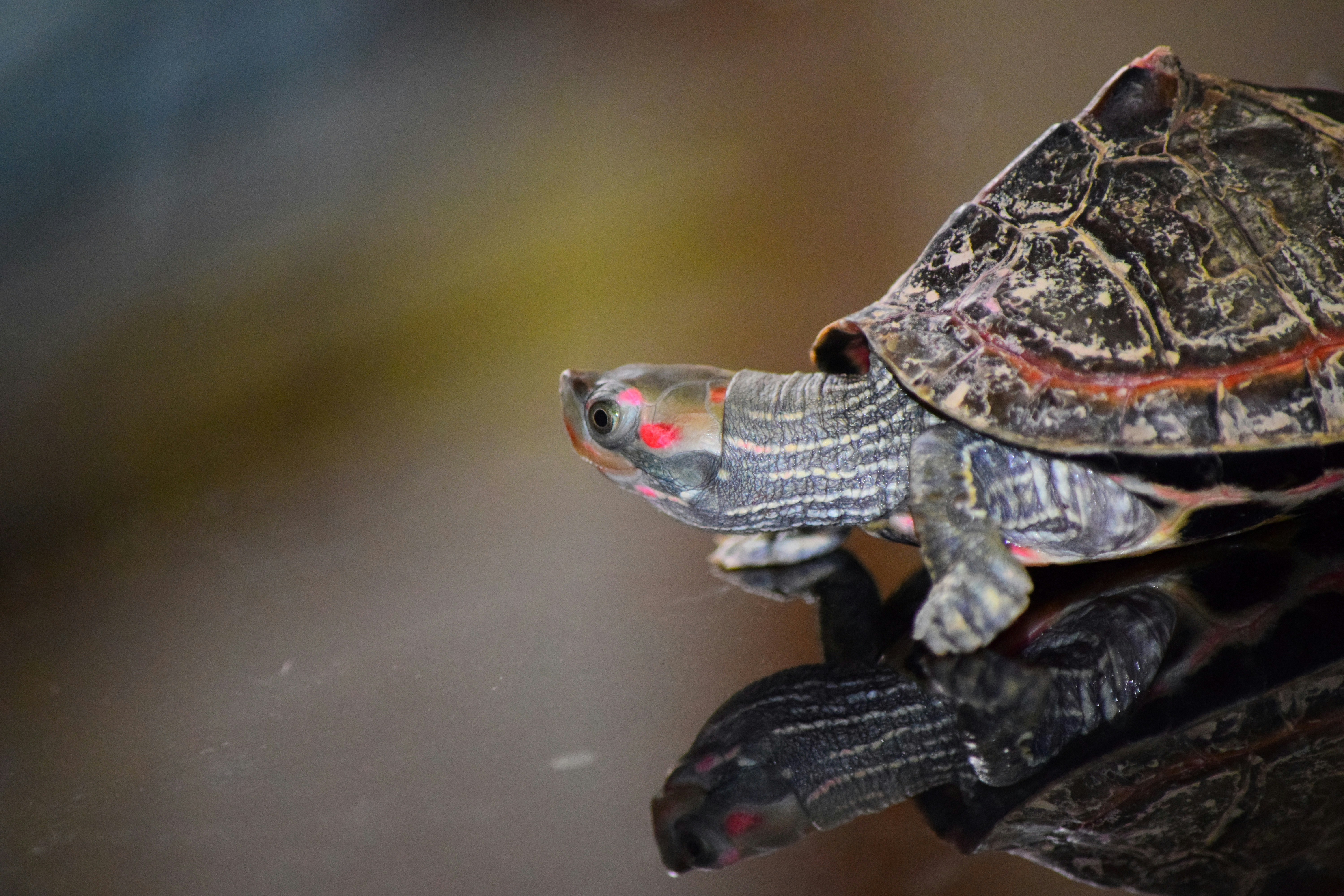 Photo by rrajputphotography