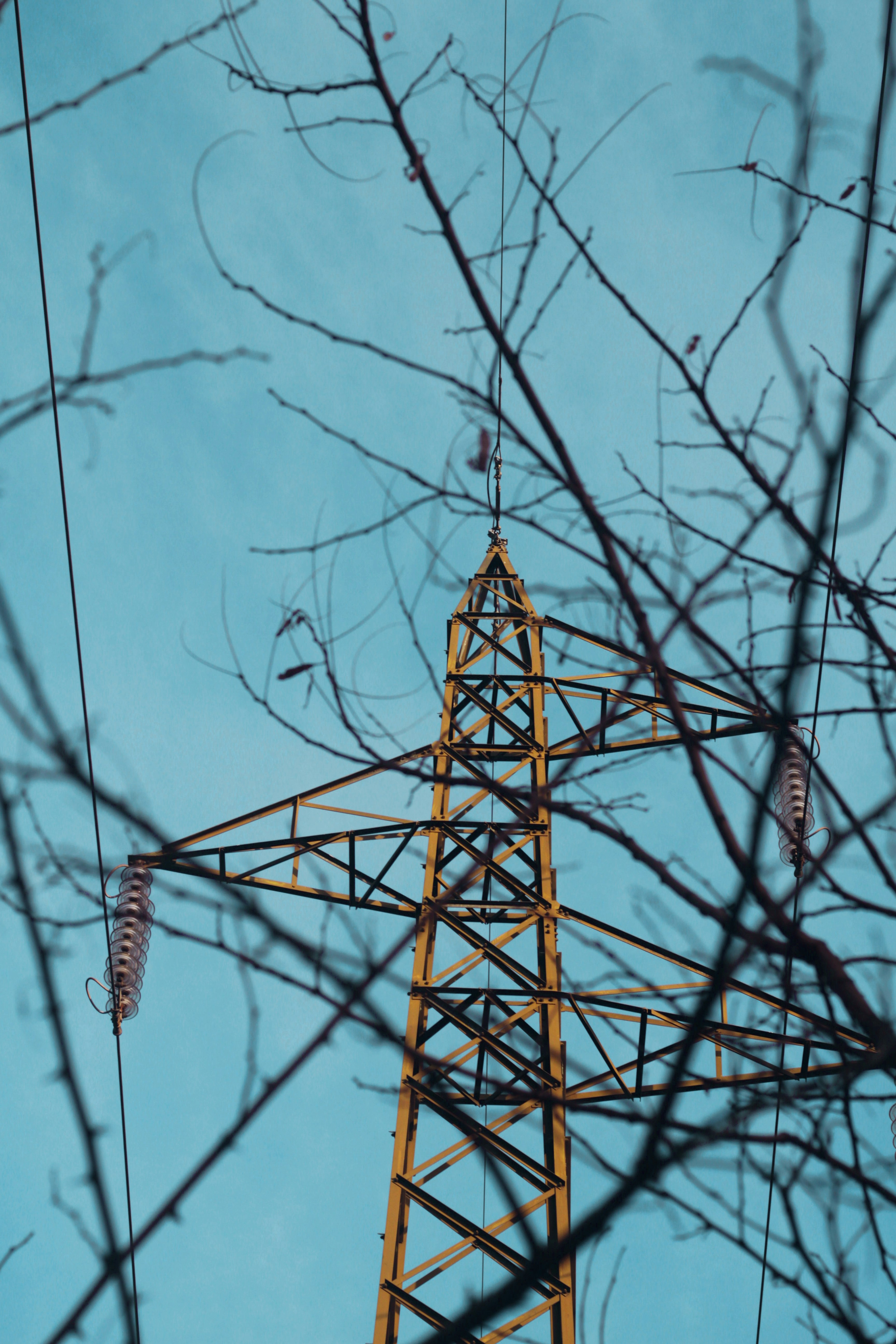 Photo by prince_1sma