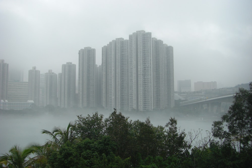 green trees near body of water during daytime