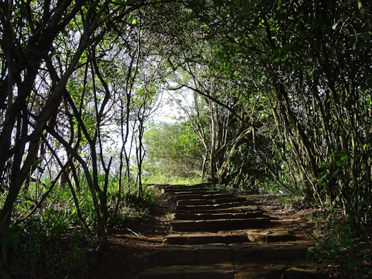 God's Window things to do in Sabie