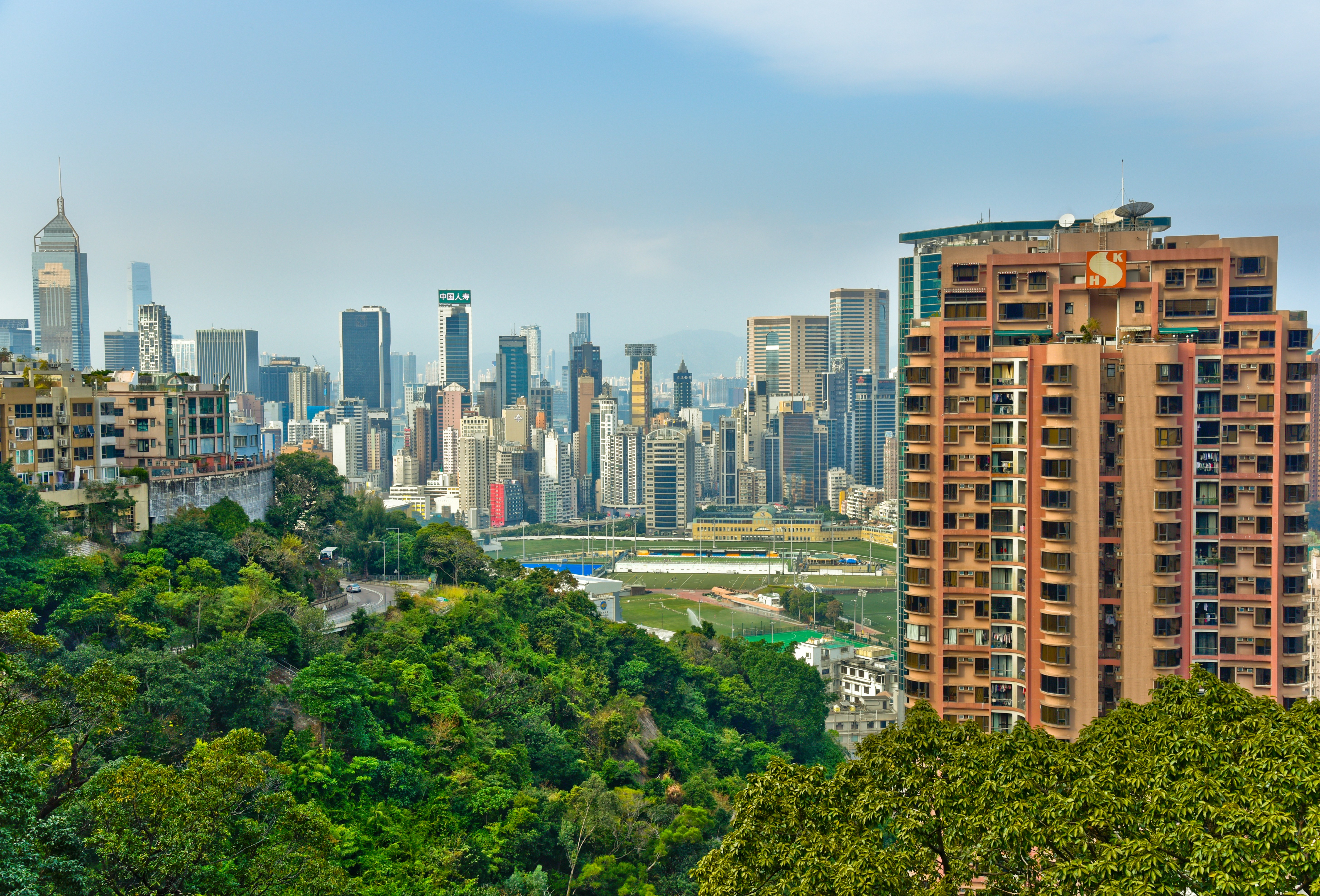 high rise buildings near green trees under blue sky during daytime