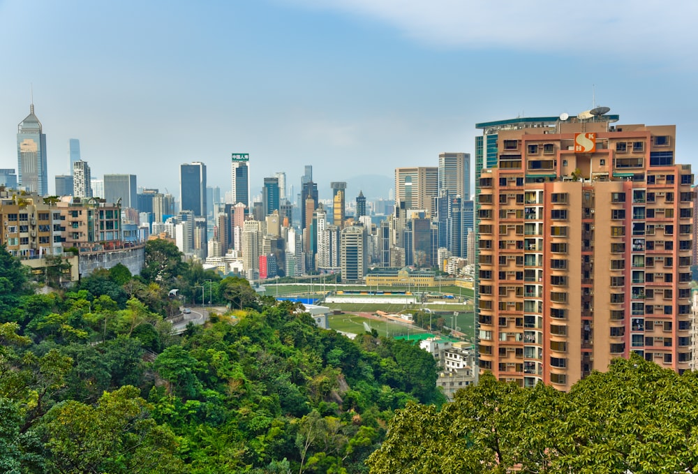 Edificios de gran altura cerca de árboles verdes bajo el cielo azul durante el día