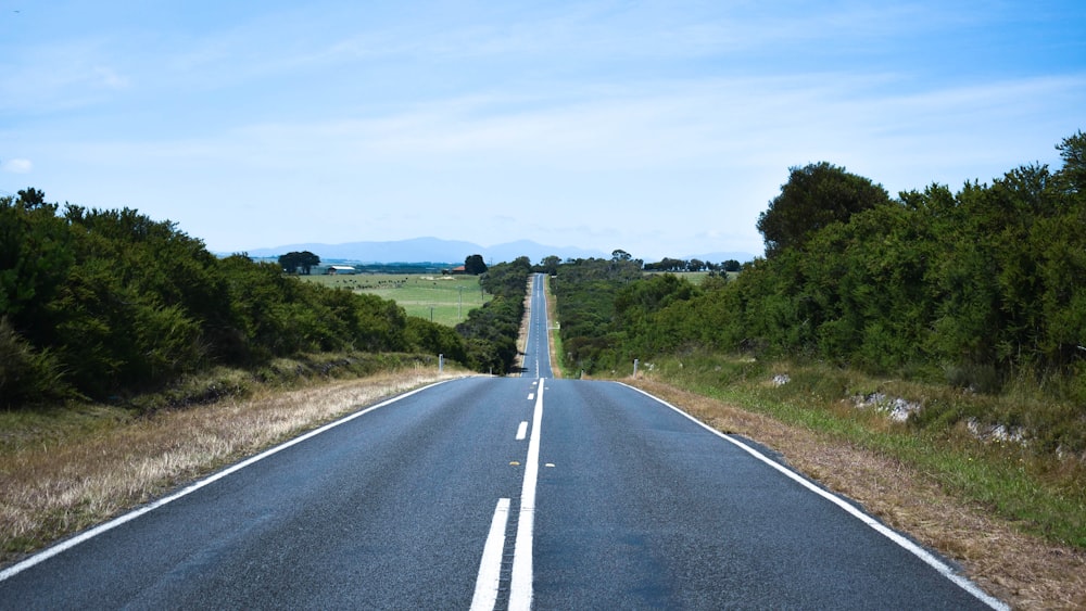 gray concrete road between green grass field under blue sky during daytime