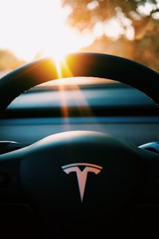 A steering wheel with a Tesla logo is prominent in the foreground. Sunlight streams through the windshield, creating a warm glow and lens flare effect.
