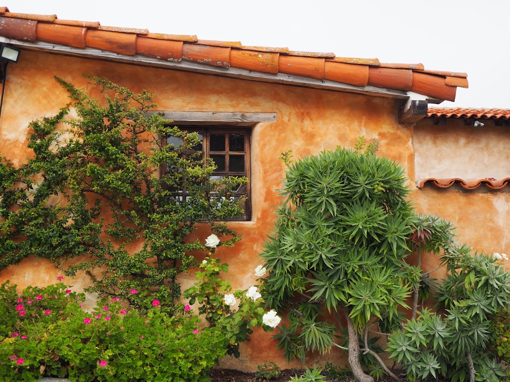 green plant on brown brick wall