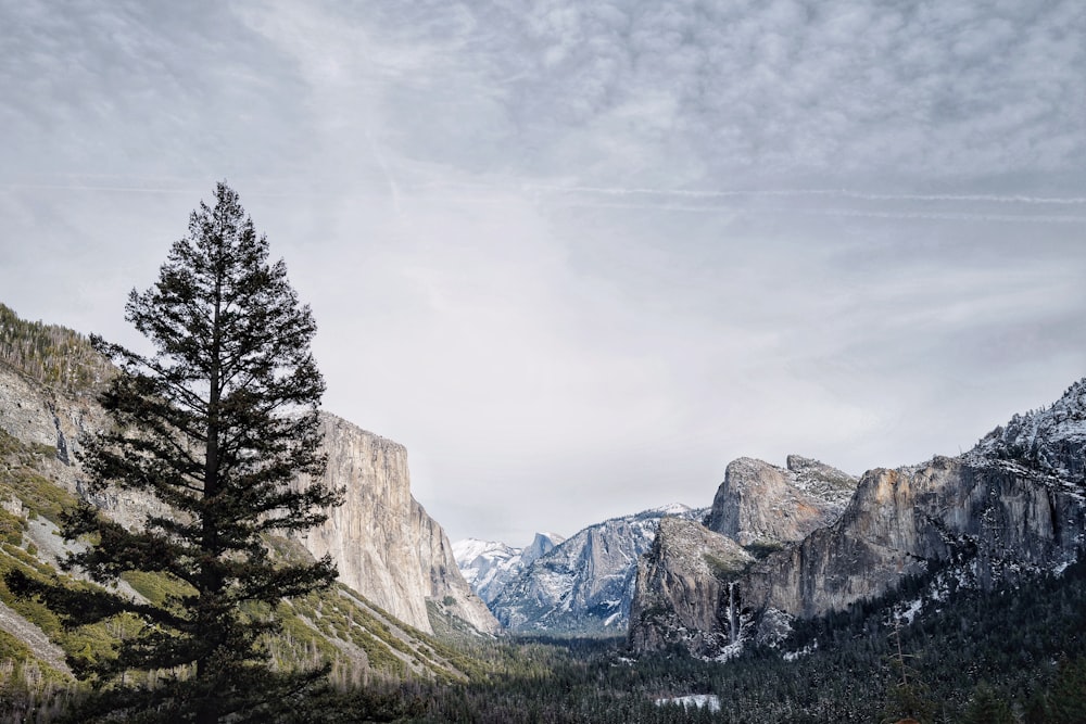 green trees near rocky mountain under cloudy sky during daytime