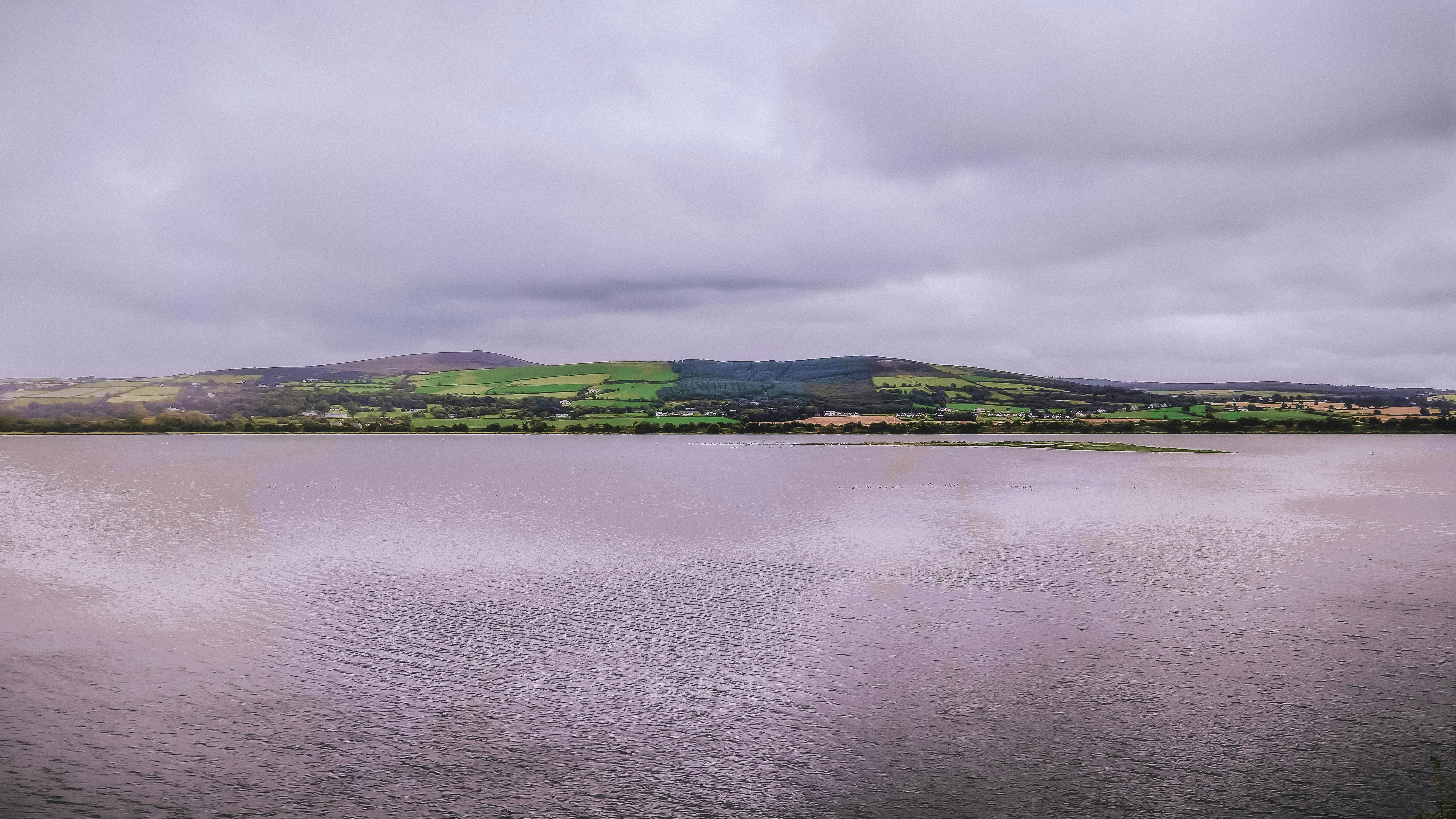 green trees beside body of water under cloudy sky during daytime