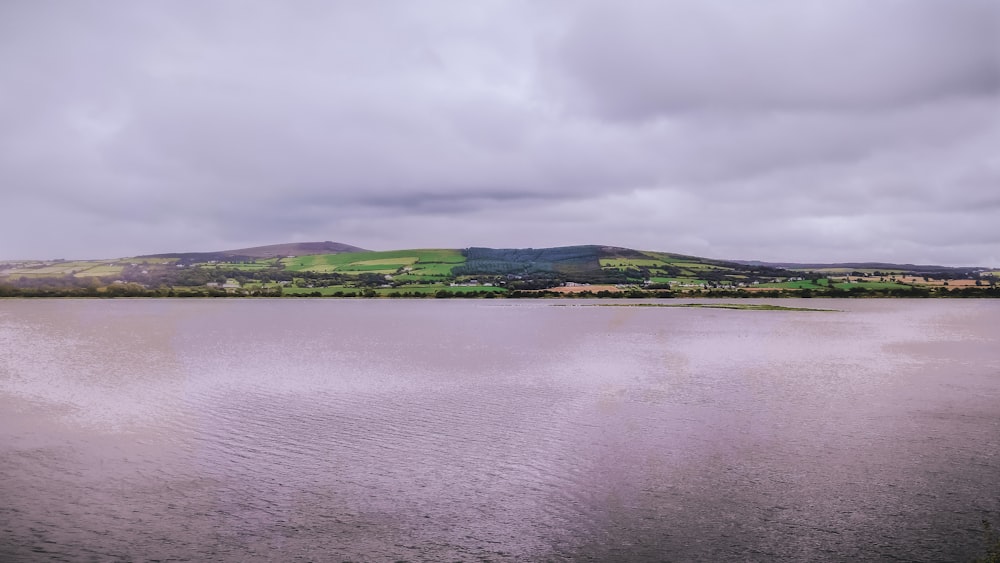 green trees beside body of water under cloudy sky during daytime