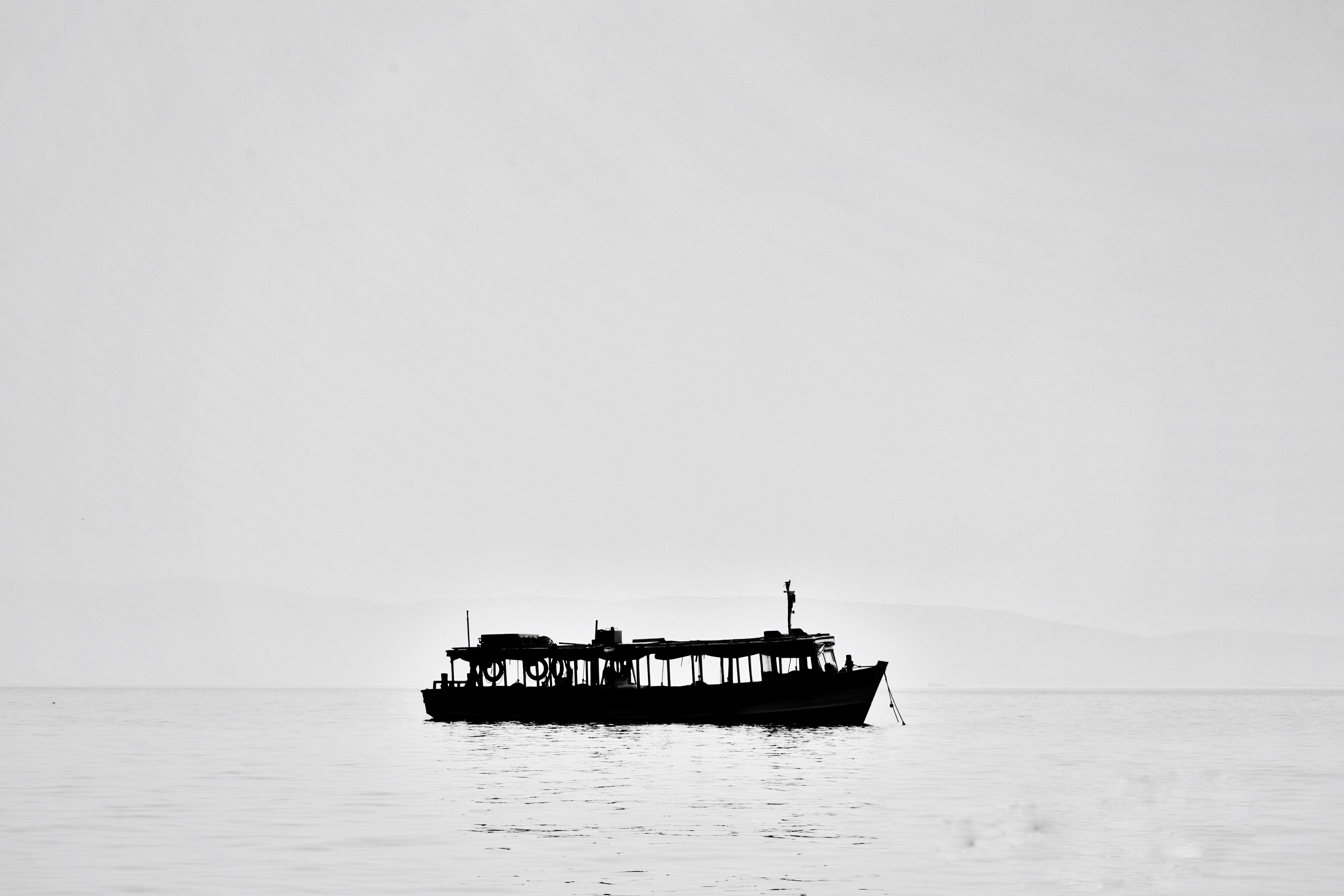 Photo by wild_nfree_