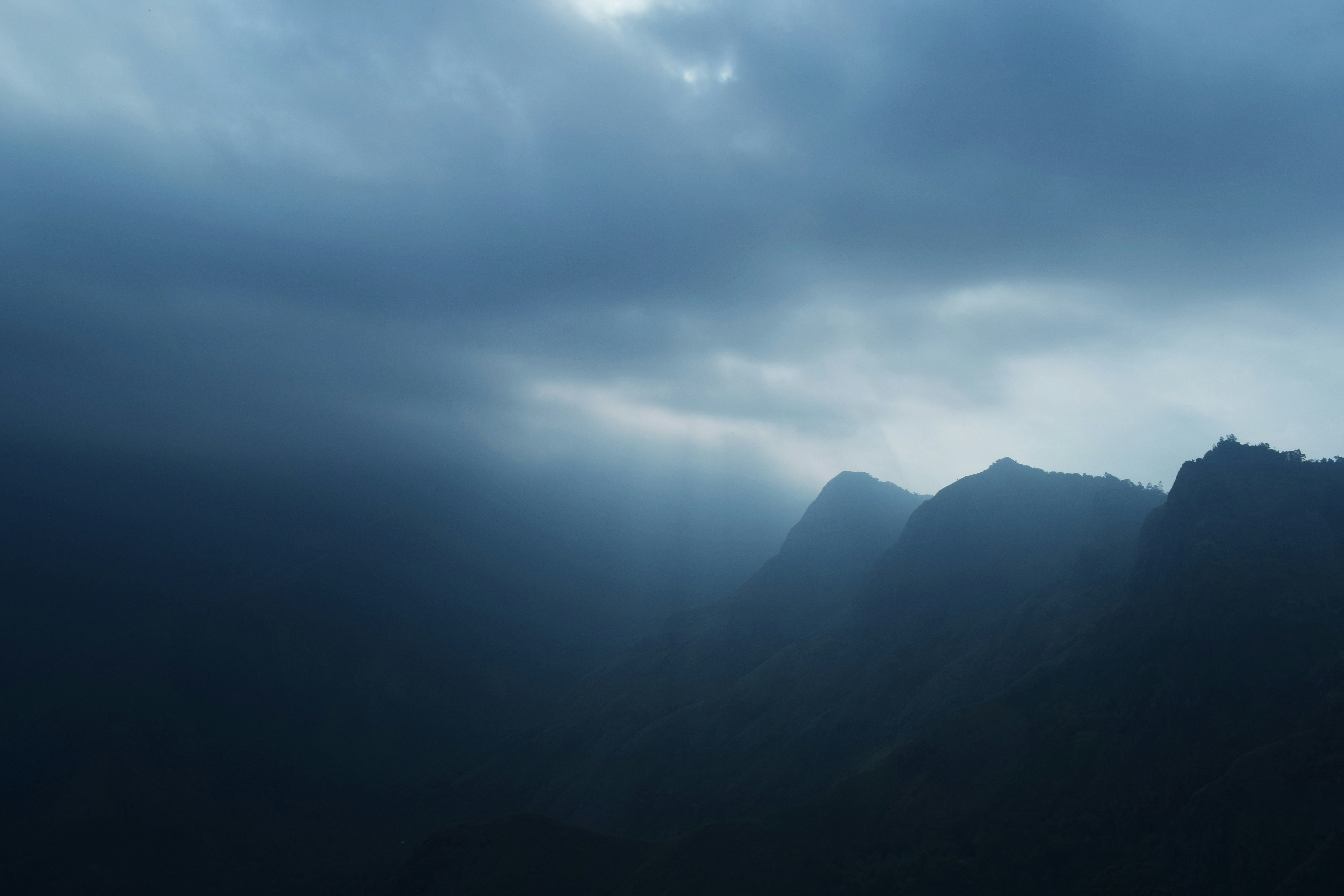 Photo by wild_nfree_