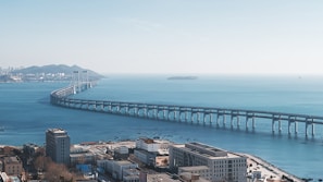 aerial view of city buildings near sea during daytime