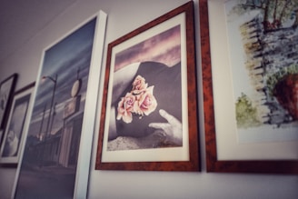 A series of framed pictures are hanging on a wall. The central image features a black and white photograph with a person's hand resting gently on a surface, adorned with light pink roses. The surrounding frames display various artworks, including what appears to be an urban scene and a landscape painting.