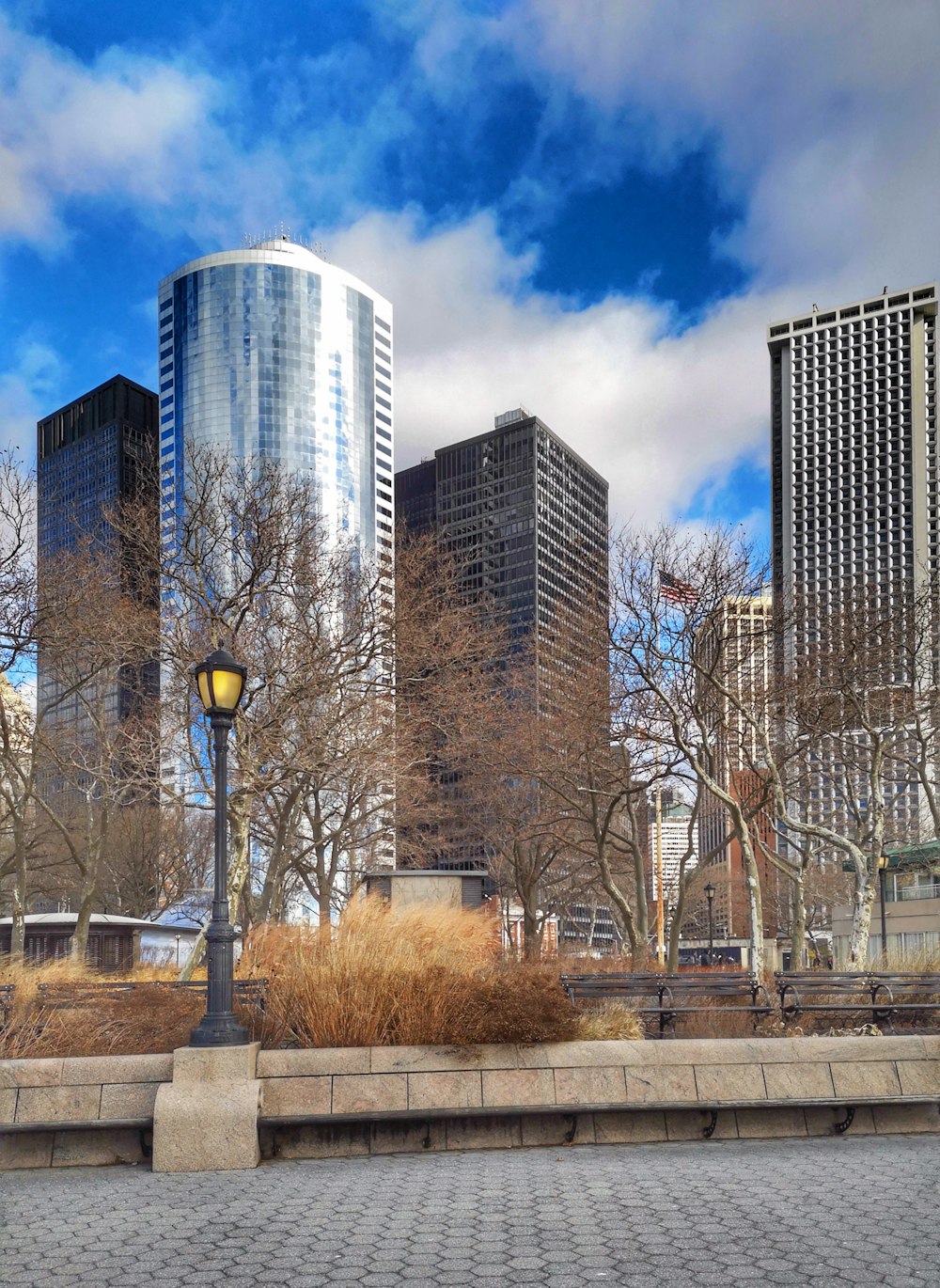 brown bare trees near high rise building during daytime