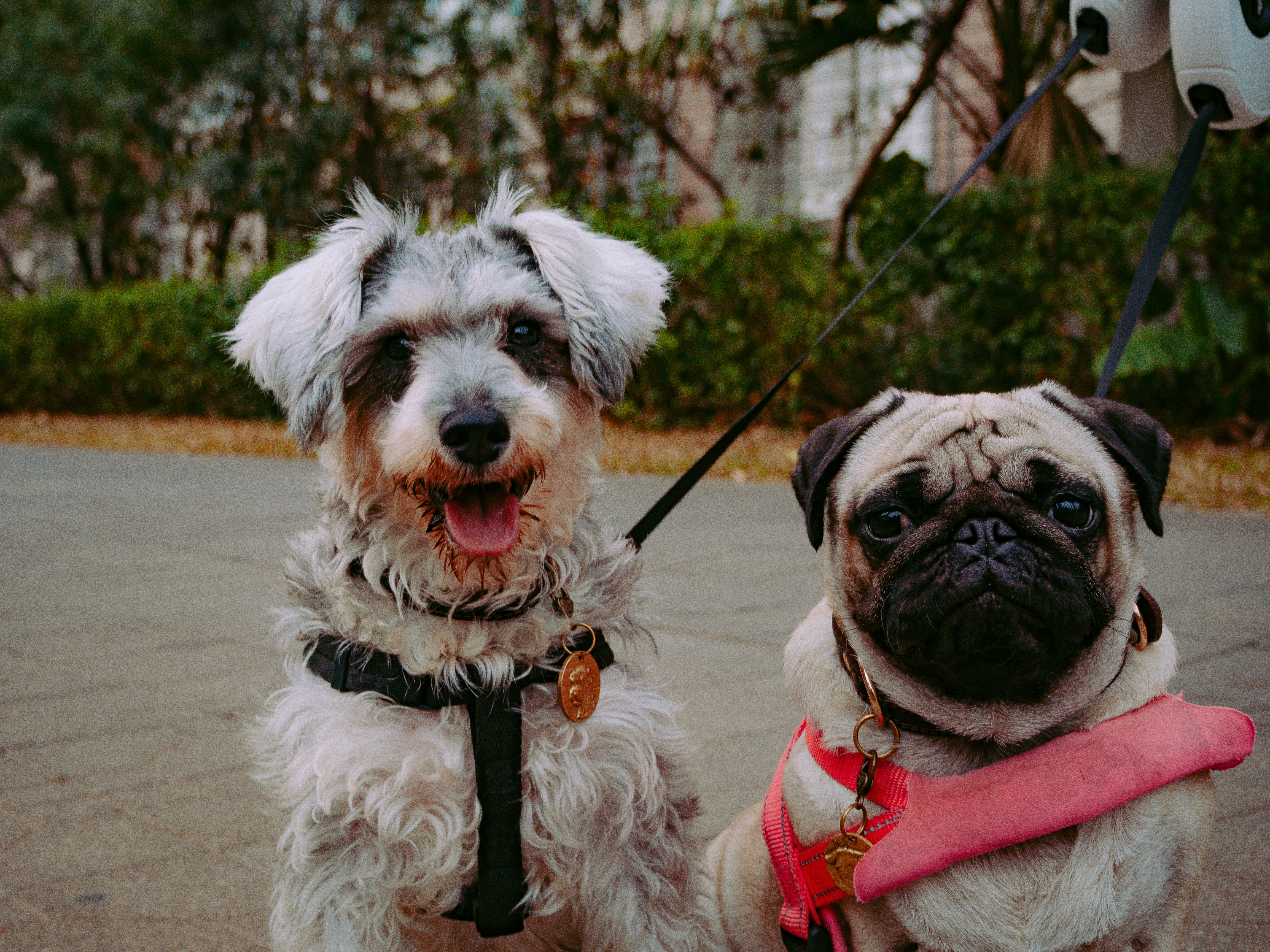 Photo by joshuafernandez