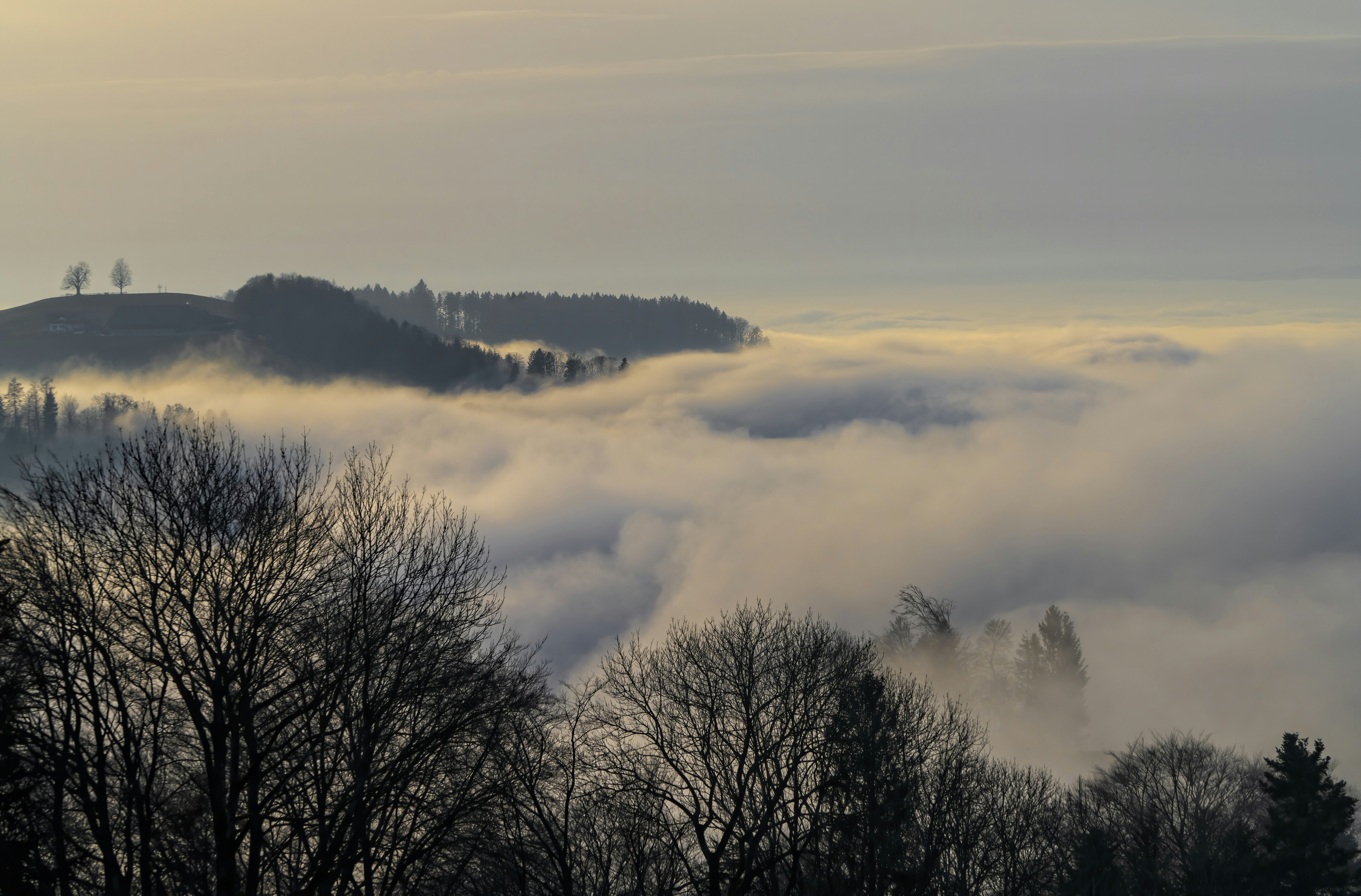 Photo by rgaleriacom