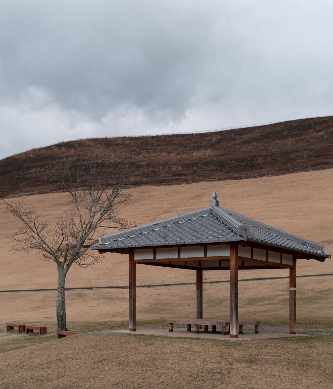 brown and gray wooden gazebo near bare trees under white clouds during daytime