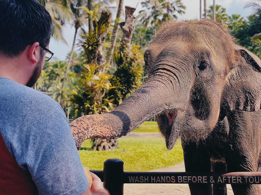 man in blue shirt riding elephant