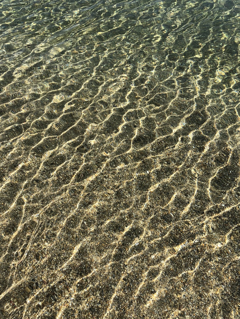 brown sand near body of water during daytime