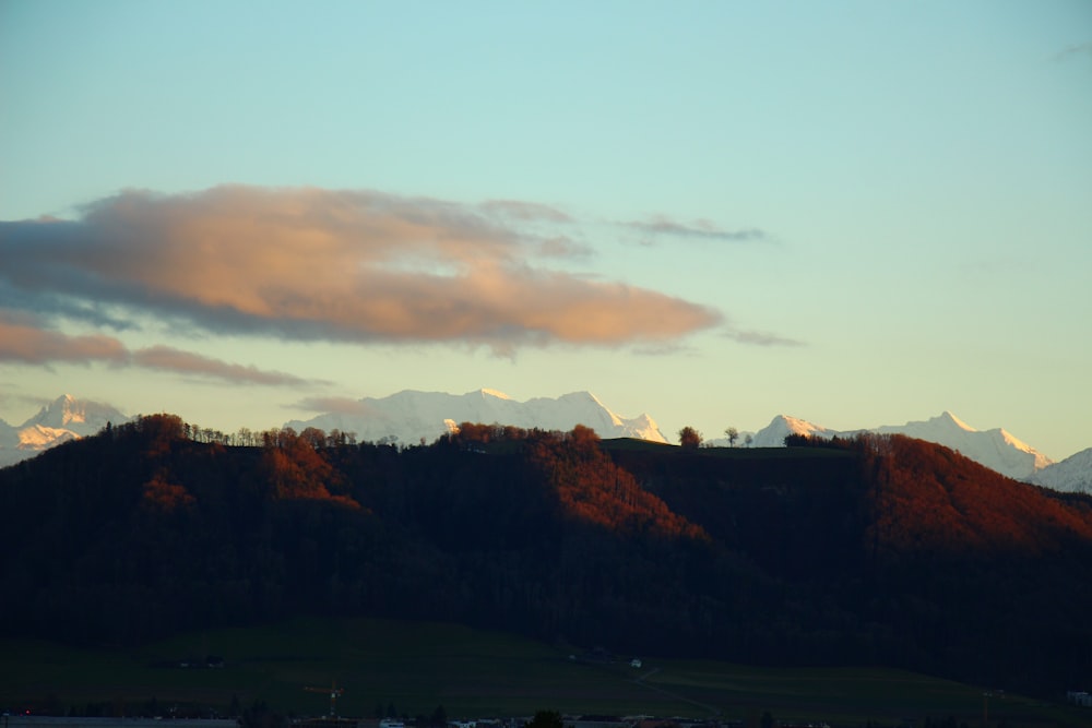 green trees and mountain under cloudy sky during daytime