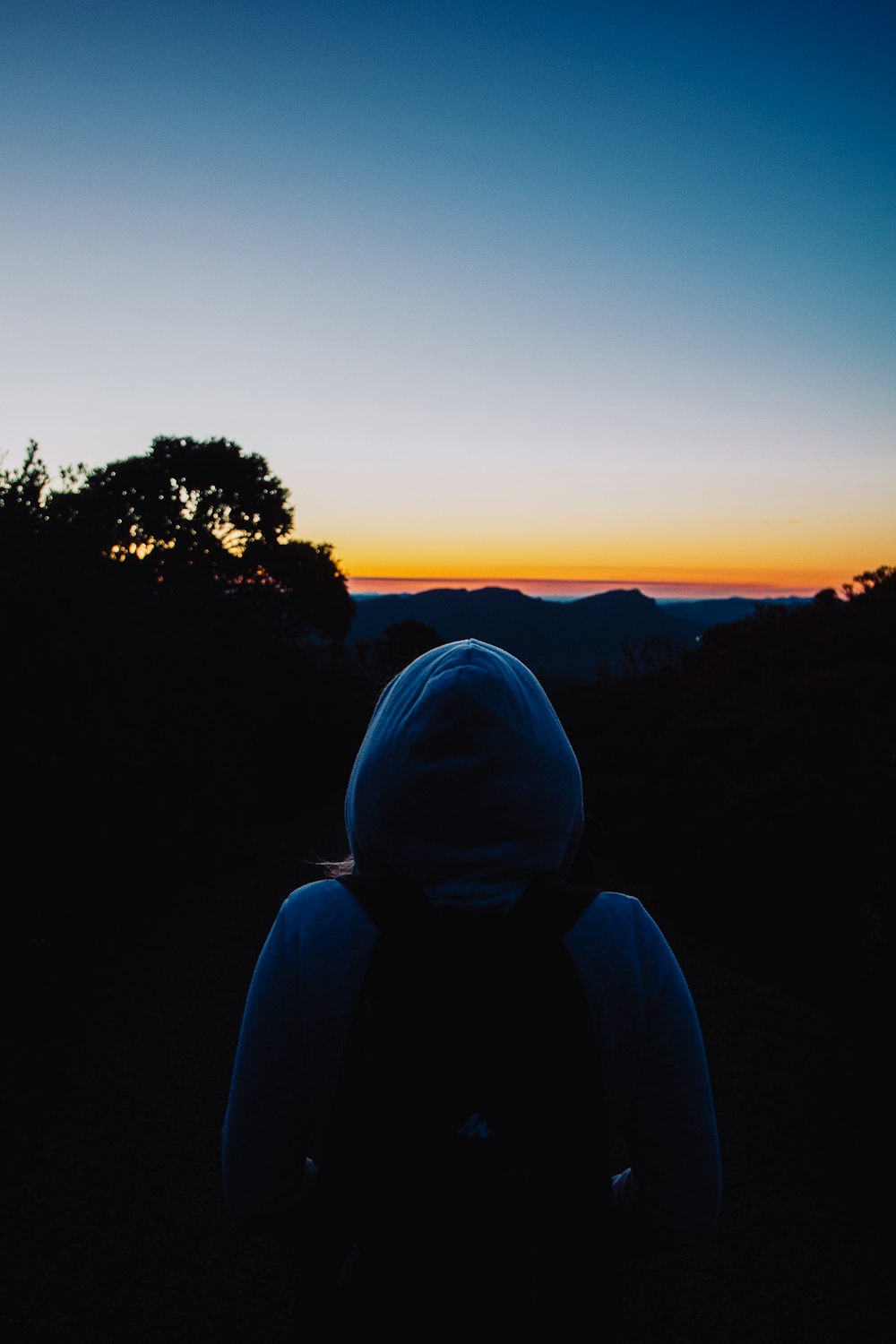 silhouette of person standing near tree during sunset