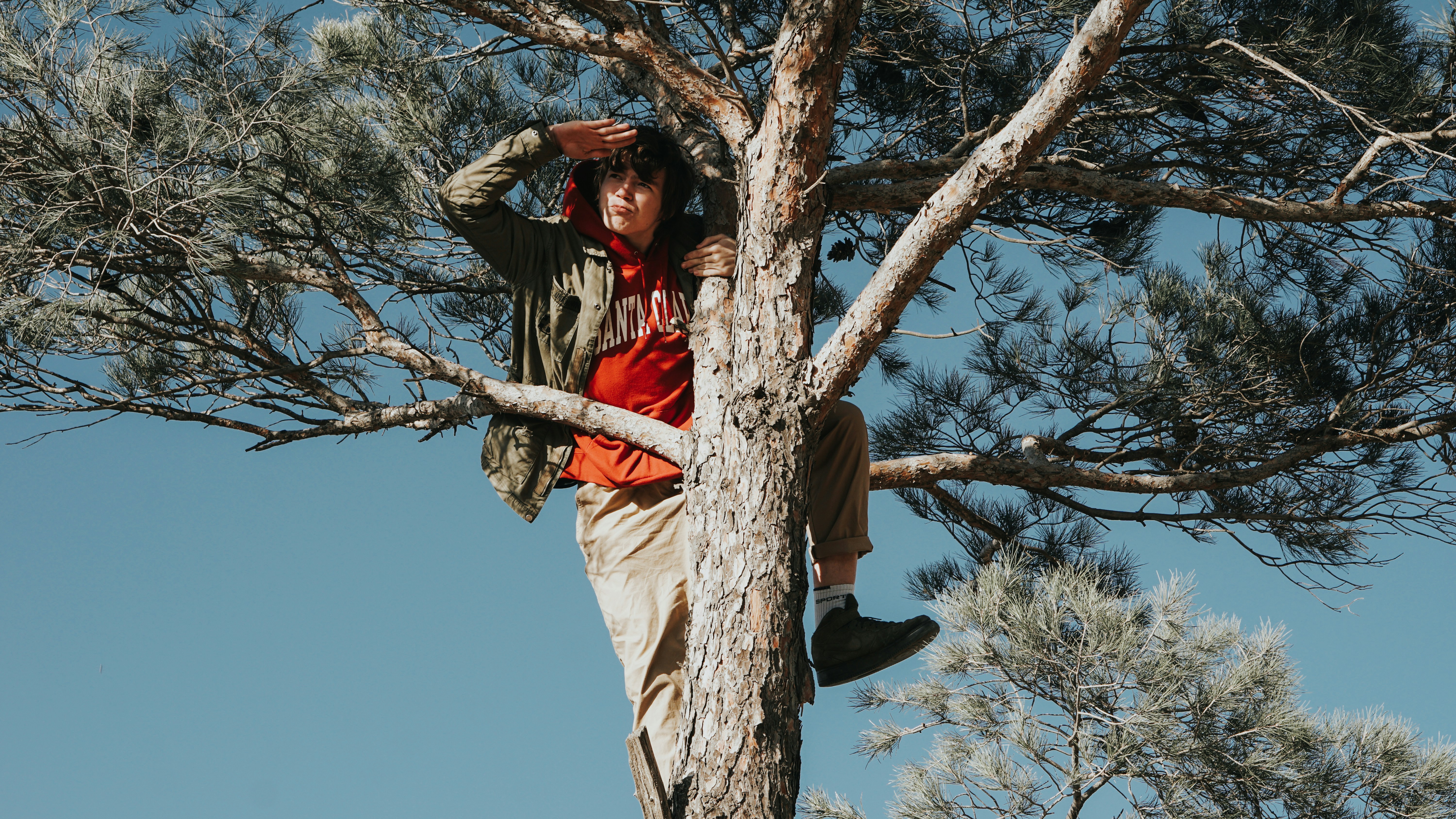 Photo by shadesofdecay