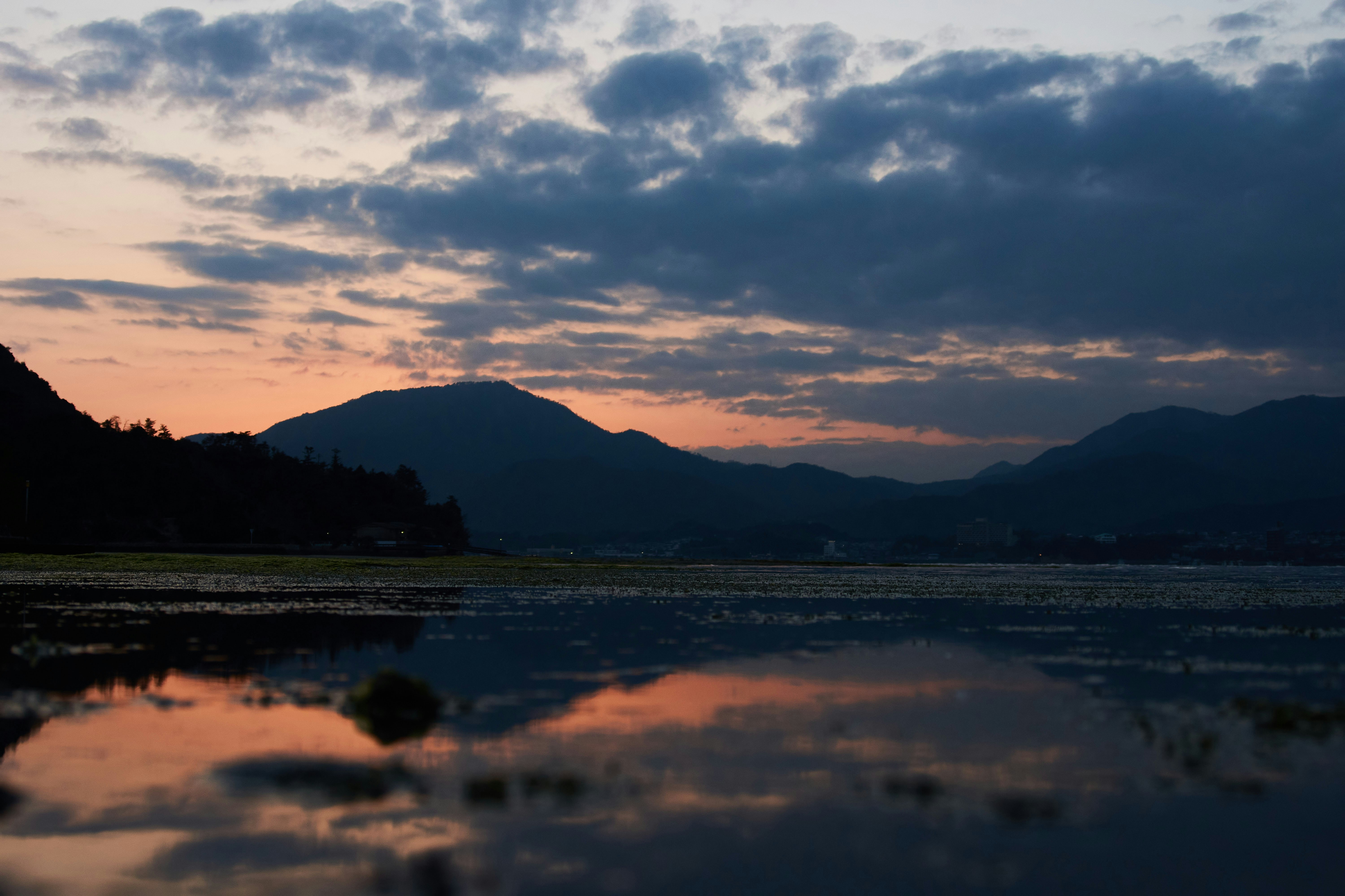 Photo by wolfgang_hasselmann