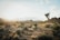 A serene desert landscape featuring numerous Joshua trees scattered across a flat, arid terrain. In the background, rocky hills and distant mountains are visible under a bright sky with some clouds. The scene is bathed in soft, golden sunlight, casting gentle shadows on the ground.