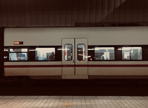white and black train in train station