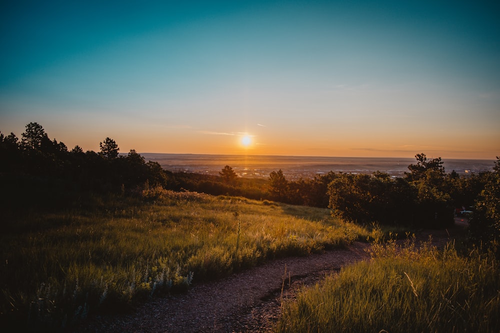 green grass field during sunset