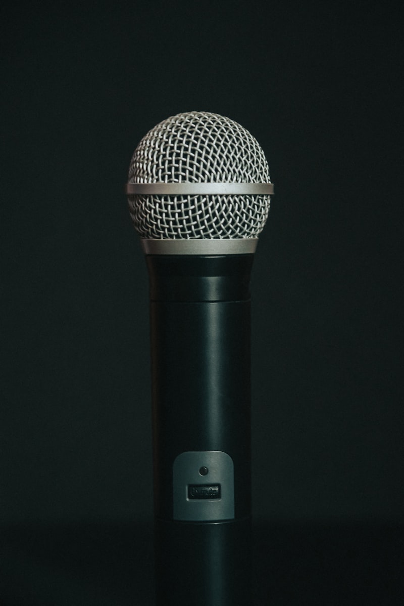 SM58 Dynamic Vocal