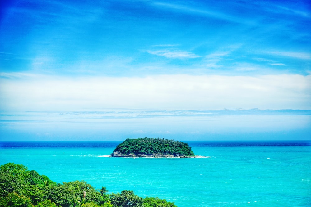 green trees on island under blue sky during daytime