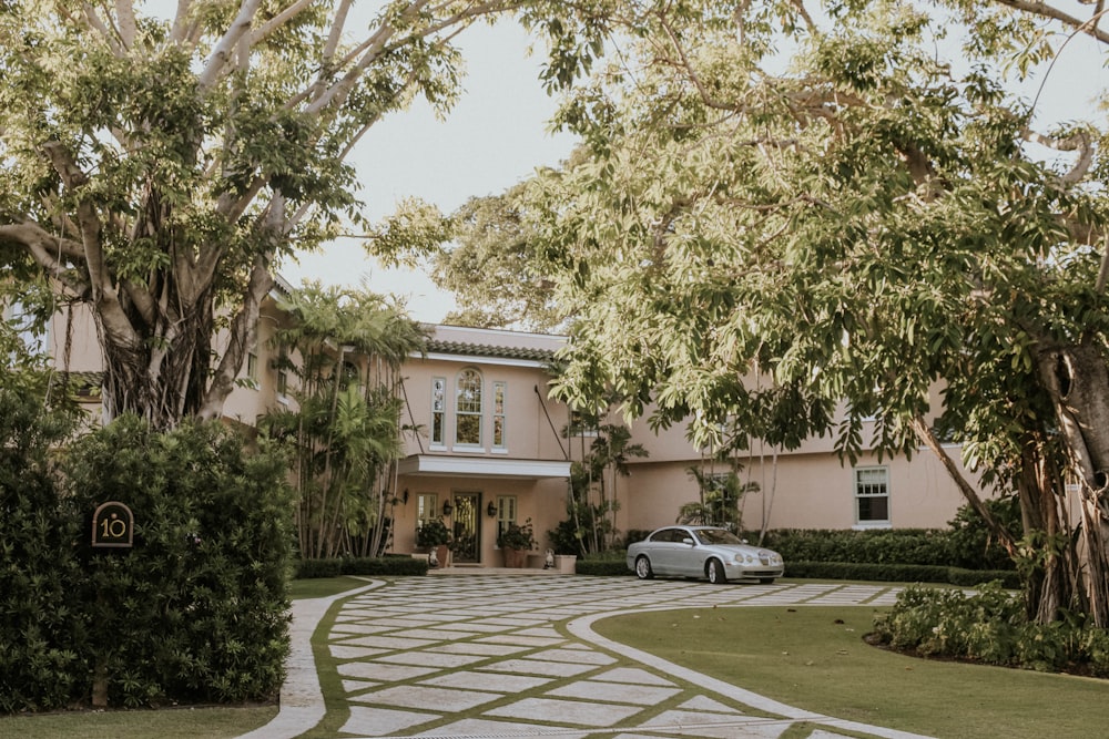 white and black cars parked near green trees during daytime