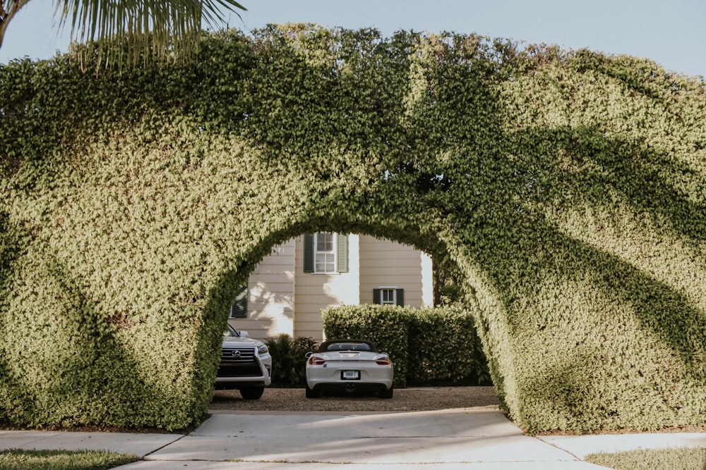 white car parked beside green bush