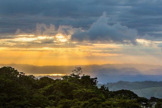 green trees under cloudy sky during sunset in Puntarenas Province Costa Rica